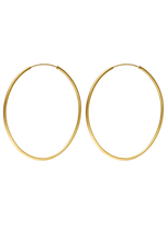 Load image into Gallery viewer, Hoops Large Gold brushed