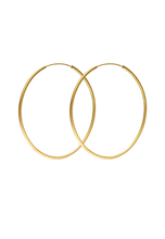 Load image into Gallery viewer, Hoops Large Gold brushed