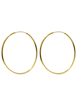 Load image into Gallery viewer, Hoops Large Gold shiny
