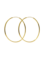 Load image into Gallery viewer, Hoops Large Gold shiny