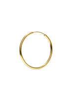Load image into Gallery viewer, Hoops Medium Gold shiny

