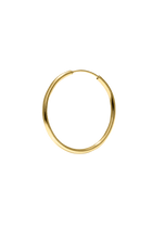 Load image into Gallery viewer, Hoops Medium Gold shiny