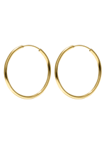 Load image into Gallery viewer, Hoops Medium Gold shiny