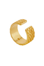 Load image into Gallery viewer, Koi Ring Gold