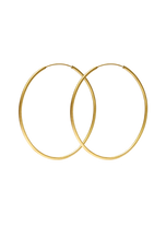 Load image into Gallery viewer, Hoops Large Gold brushed
