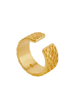 Load image into Gallery viewer, Koi Ring Gold
